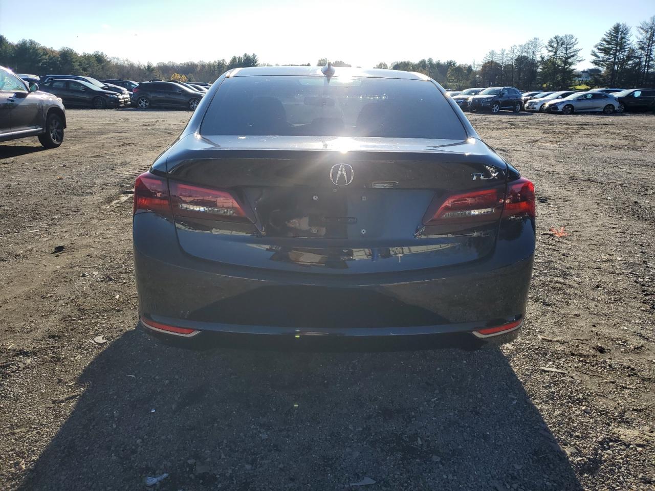 2015 Acura Tlx VIN: 19UUB1F31FA012388 Lot: 80389964