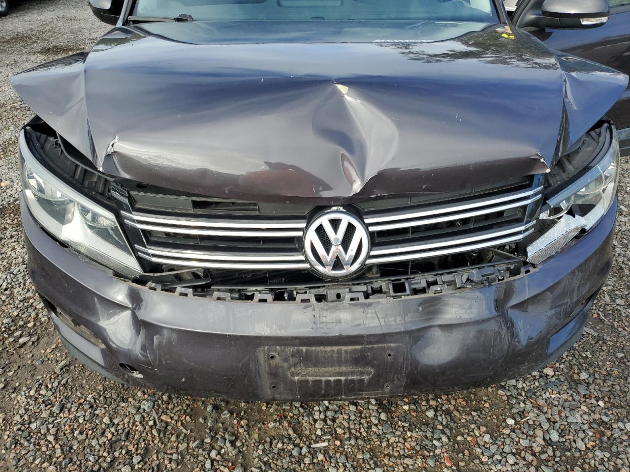 2016 Volkswagen Tiguan S VIN: WVGBV7AX4GW592973 Lot: 79111384