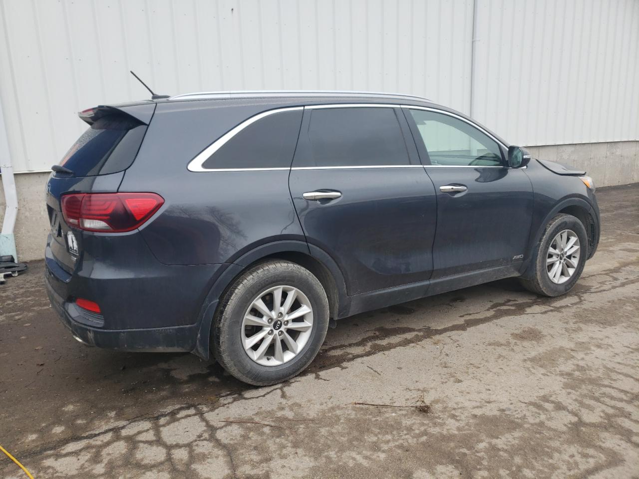 2019 Kia Sorento L VIN: 5XYPGDA30KG517936 Lot: 81098174