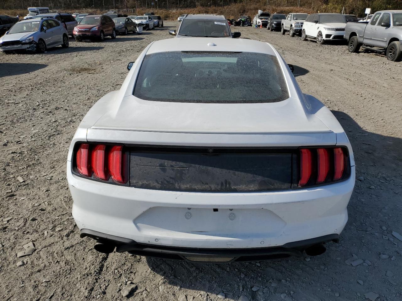 2020 Ford Mustang VIN: 1FA6P8TH0L5112493 Lot: 79030594