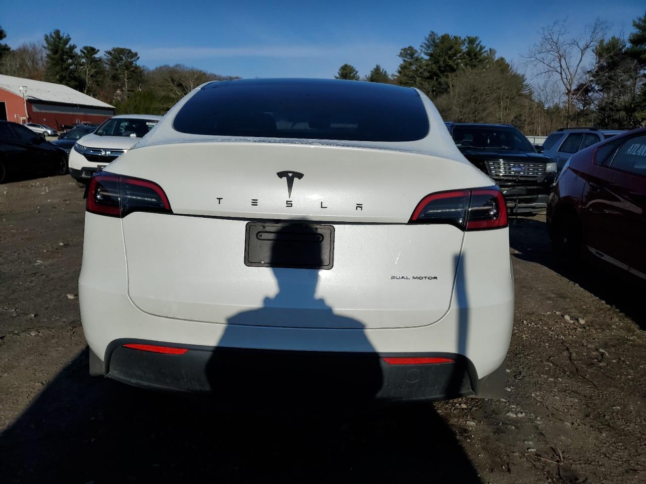 2023 Tesla Model Y VIN: 7SAYGDEE5PF674458 Lot: 82301864