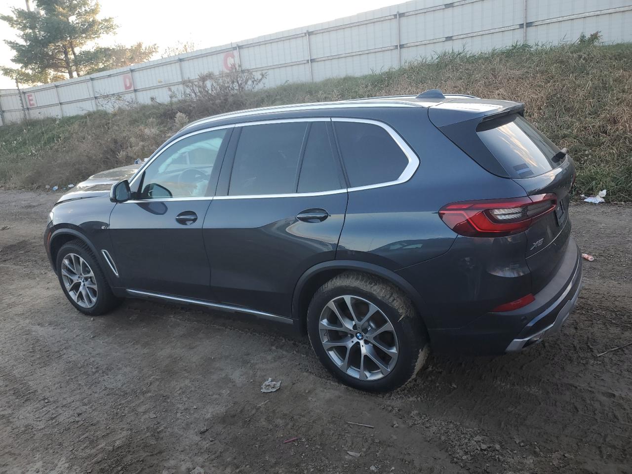 VIN 5UXCR6C09L9B52118 2020 BMW X5 no.2