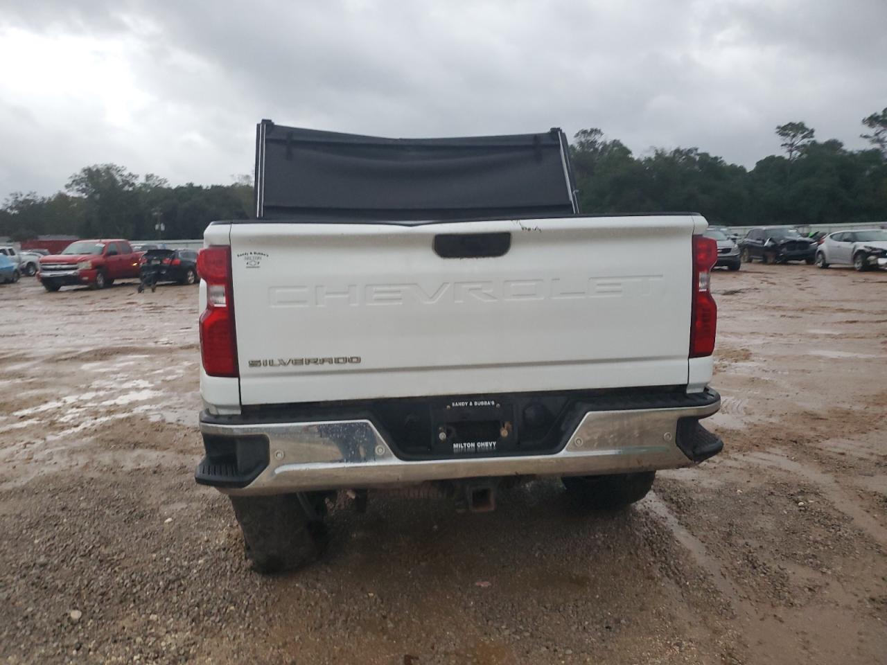 2020 Chevrolet Silverado K2500 Heavy Duty VIN: 1GC4YLEY1LF183503 Lot: 80667634