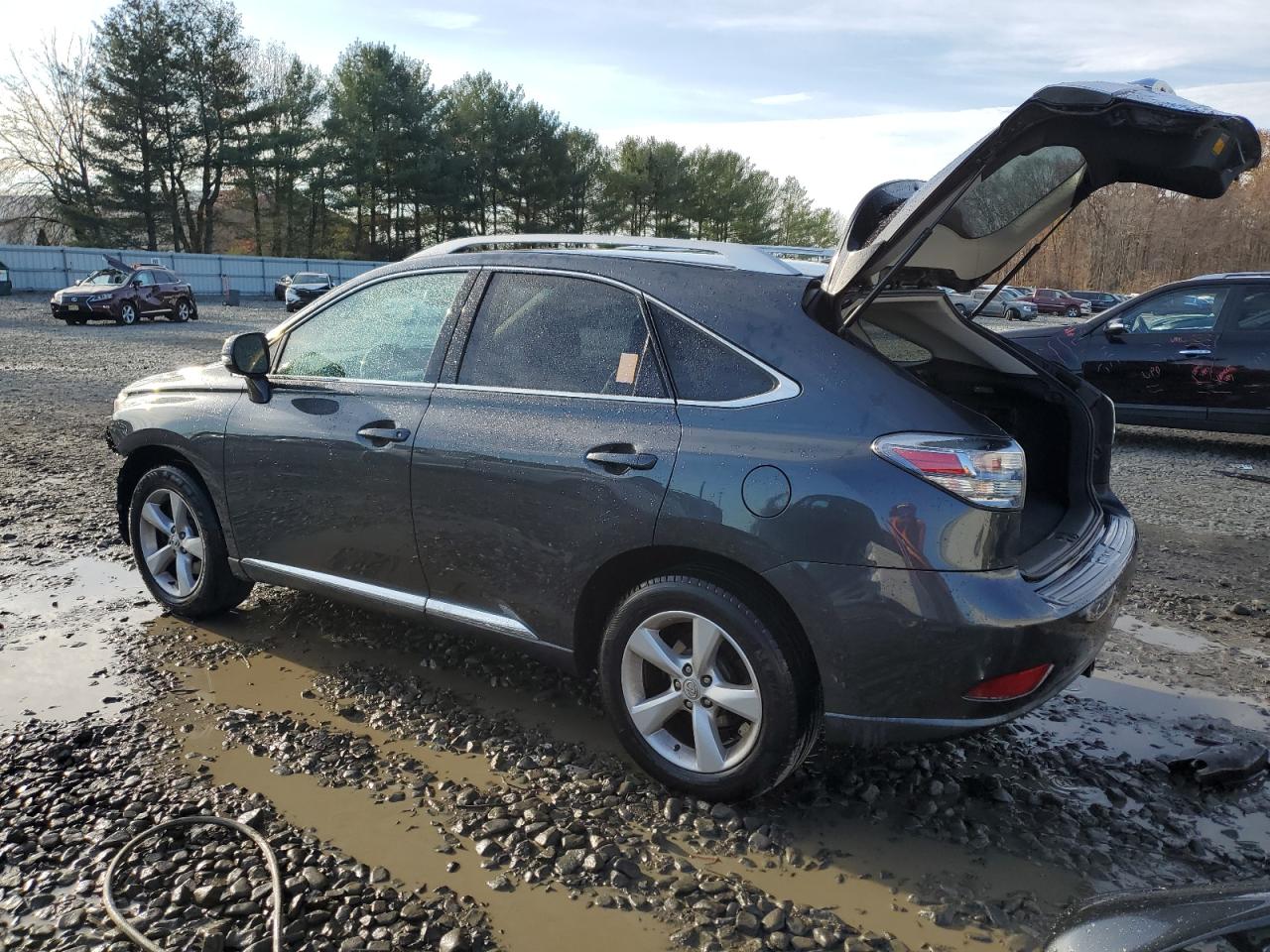 2010 Lexus RX - Image 2