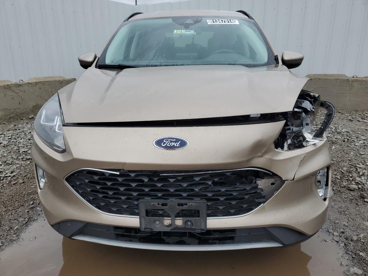 2021 Ford Escape - Image 5