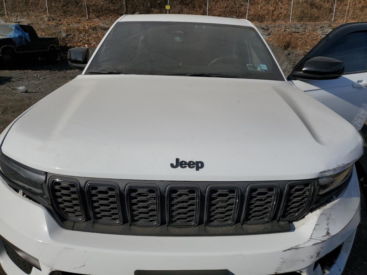 2023 Jeep Grand Cherokee Laredo VIN: 1C4RJHAG1P8704489 Lot: 80417534