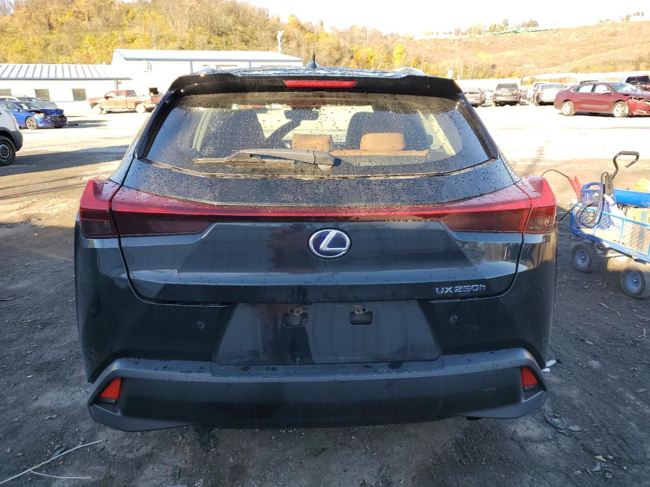 2019 Lexus UX - Image 6