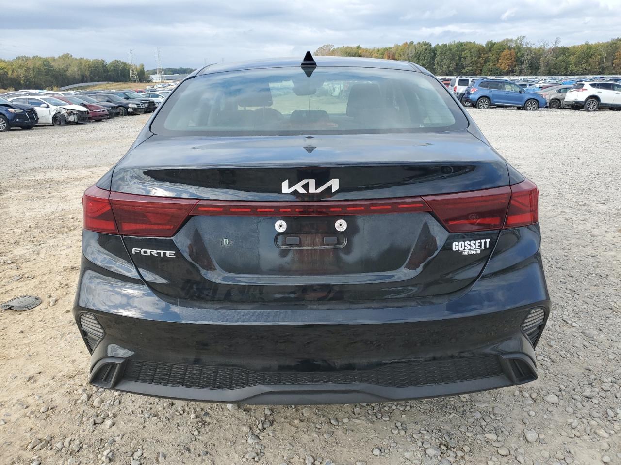 2023 Kia Forte Lx VIN: 3KPF24AD6PE600570 Lot: 79285084