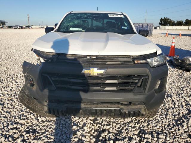  CHEVROLET COLORADO 2023 Белый