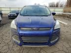 2013 Ford Escape Se на продаже в Woodhaven, MI - Minor Dent/Scratches