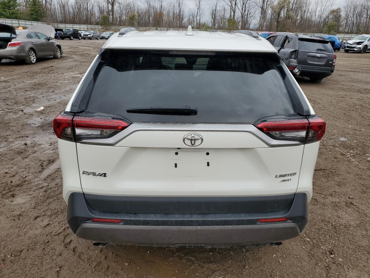 2021 Toyota Rav4 Limited VIN: 2T3N1RFVXMW219673 Lot: 79190454