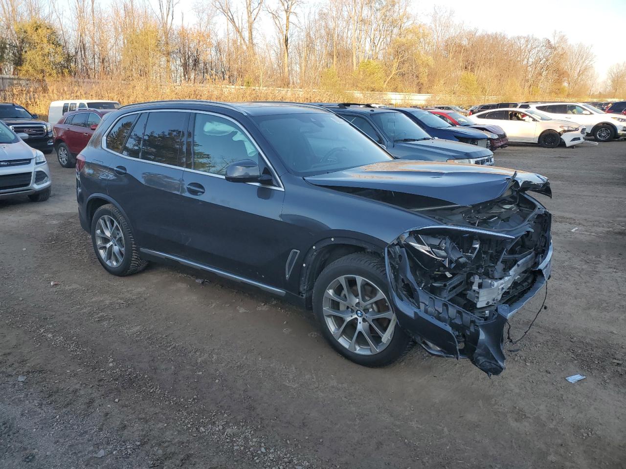 VIN 5UXCR6C09L9B52118 2020 BMW X5 no.4