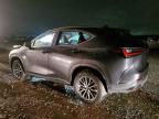 2023 Lexus Nx 350H იყიდება Elgin-ში, IL - Burn - Engine