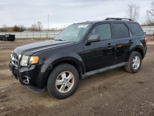 2010 Ford Escape Xlt na sprzedaż w Columbia Station, OH - Front End