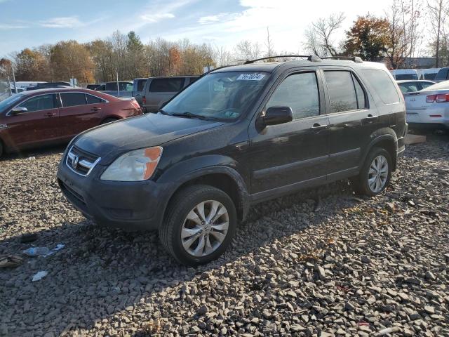 2002 Honda Cr-V Ex للبيع في Chalfont، PA - Rear End