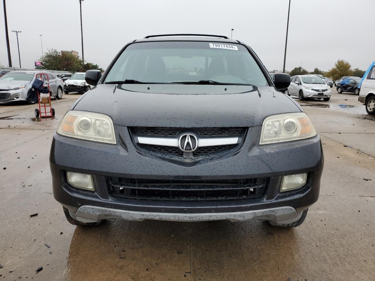 2004 Acura Mdx Touring VIN: 2HNYD18934H556802 Lot: 79917434