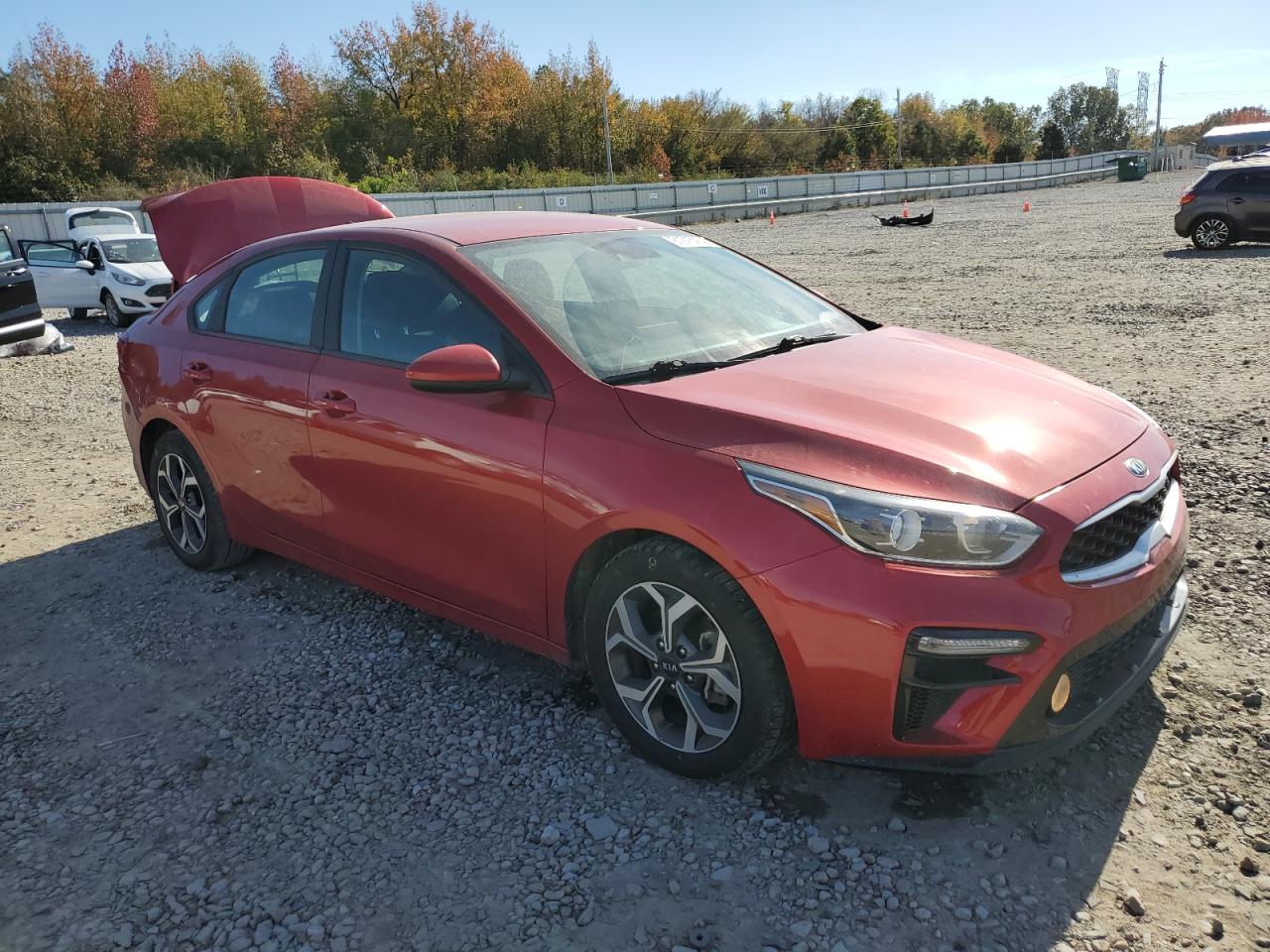2019 Kia Forte - Image 4