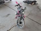 2017 HARLEY-DAVIDSON XL883 IRON 883 for sale at Copart AZ - PHOENIX