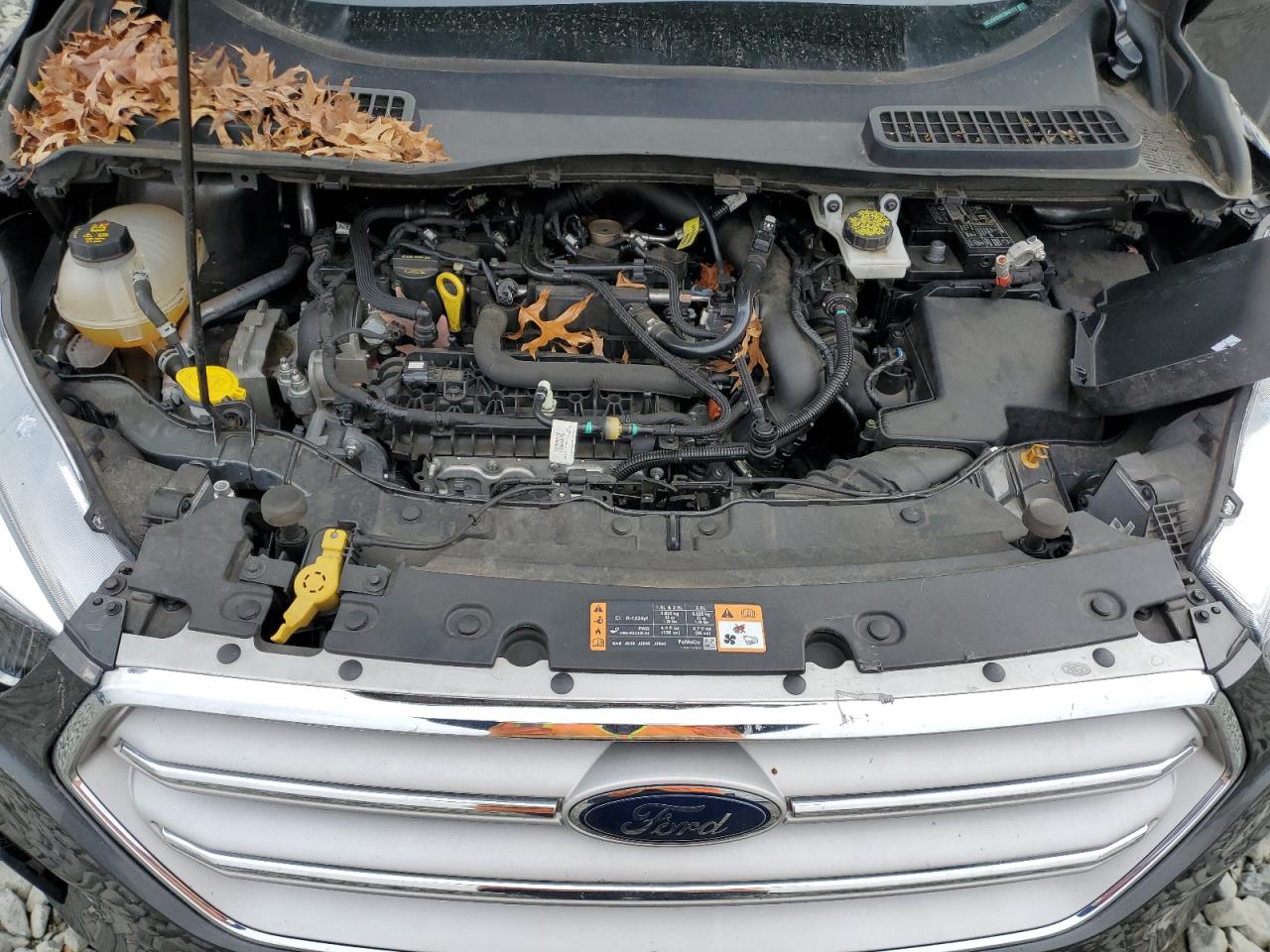 2019 Ford Escape - Image 13