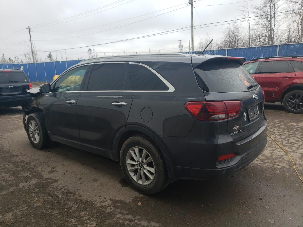 2019 Kia Sorento L VIN: 5XYPGDA30KG517936 Lot: 81098174