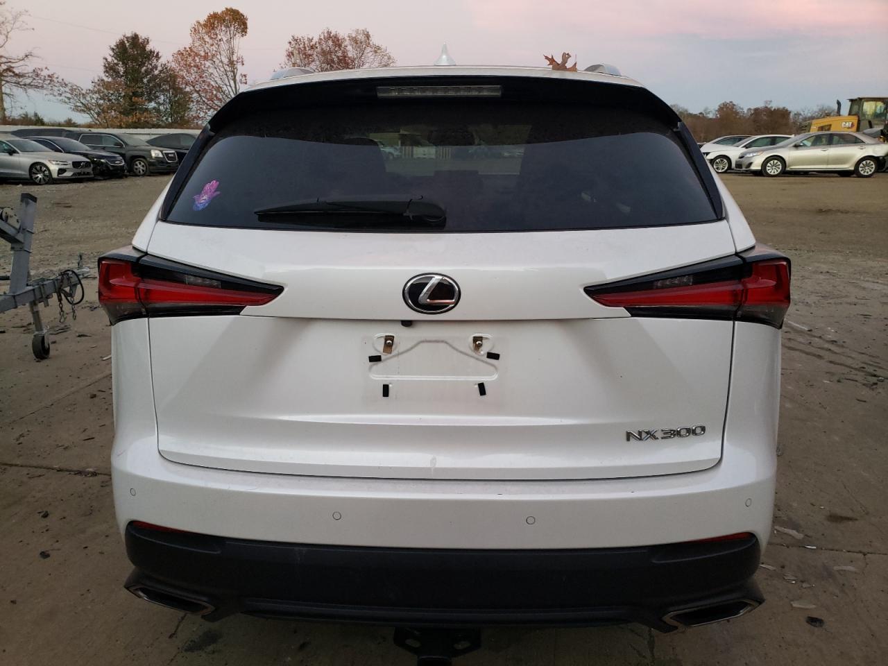 2019 Lexus Nx 300 Base VIN: JTJBARBZ8K2185179 Lot: 79053814