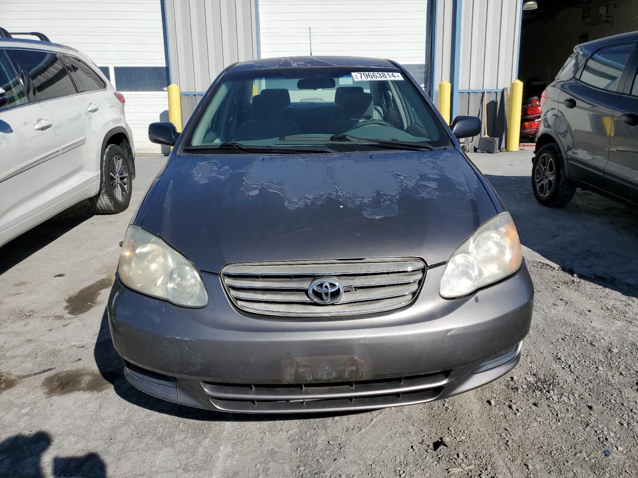 2003 Toyota Corolla - Image 5