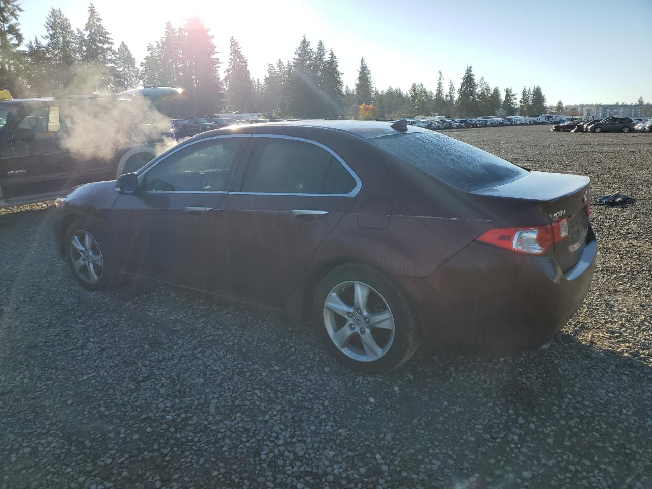 2010 Acura TSX - Image 2