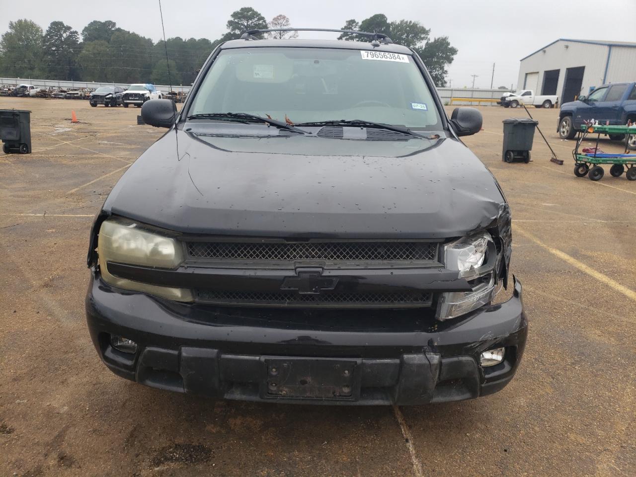 2005 Chevrolet Trailblazer Ls VIN: 1GNDS13S052105980 Lot: 79656384