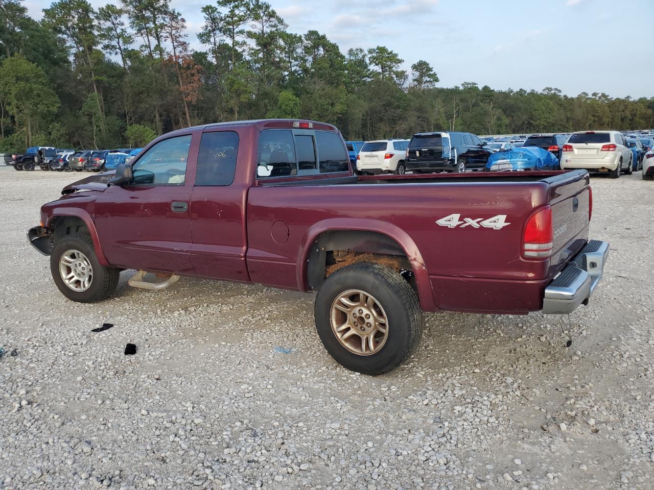 2003 Dodge Dakota - Image 2