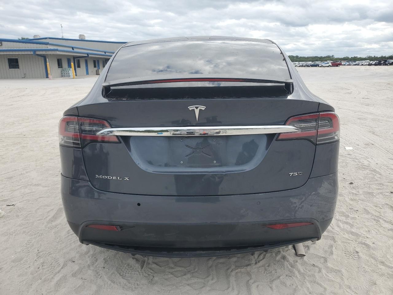 2017 Tesla Model X VIN: 5YJXCAE25HF076123 Lot: 80195834