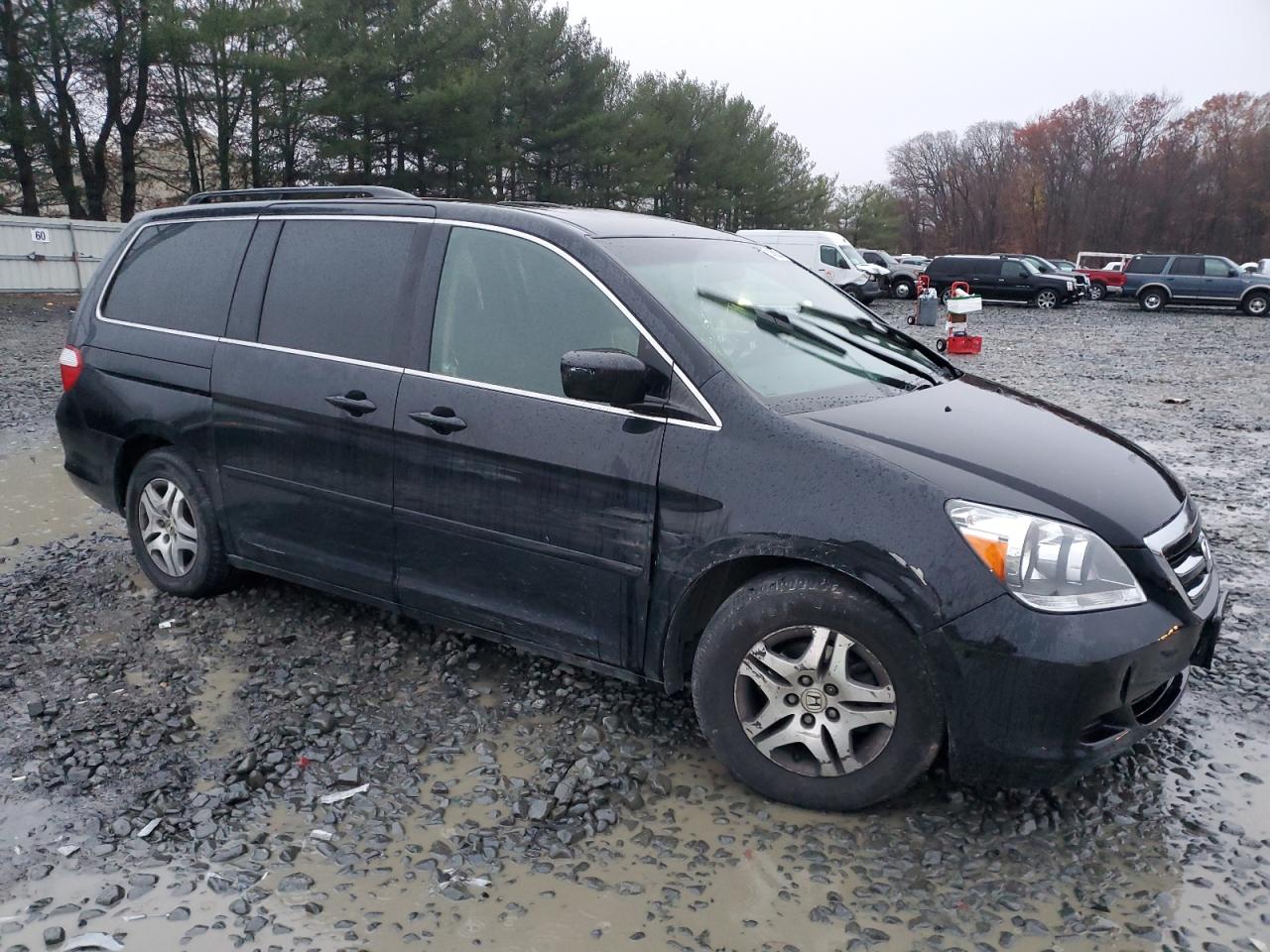 2007 Honda Odyssey Exl VIN: 5FNRL38647B137172 Lot: 81458804