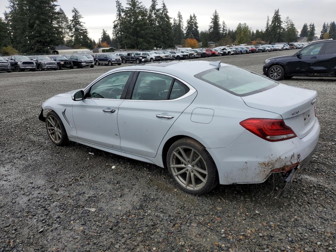 2019 Genesis G70 Elite VIN: KMTG34LA5KU026138 Lot: 81159054