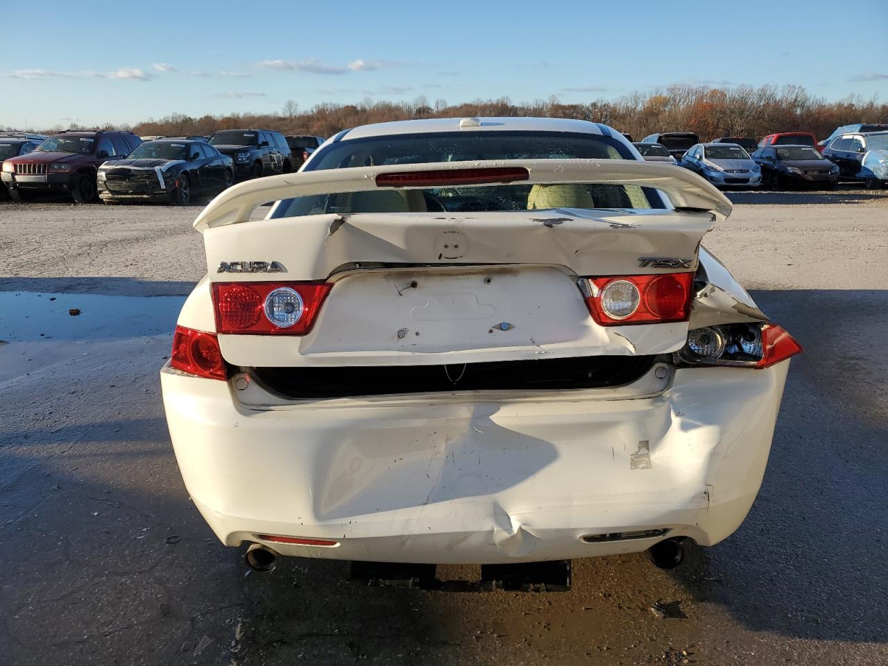 2005 Acura Tsx VIN: JH4CL96945C015877 Lot: 80733974