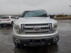 Albuquerque, NM에서 판매 중인 2014 Ford F150 Supercrew - All Over