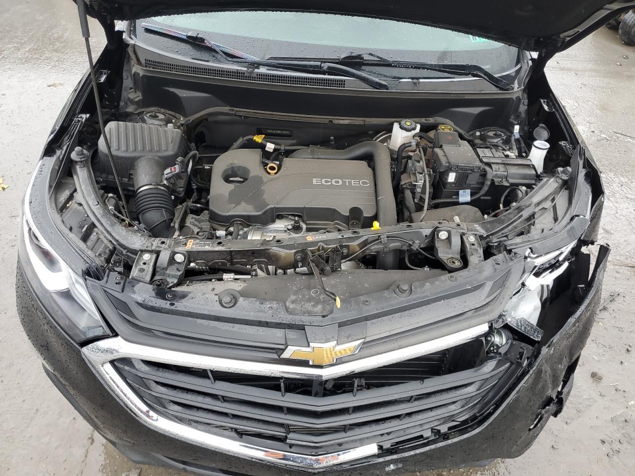 2021 Chevrolet Equinox Ls VIN: 2GNAXSEV0M6102340 Lot: 81136674