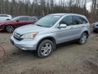 2011 HONDA CR-V EXL for sale at Copart ON - COOKSTOWN