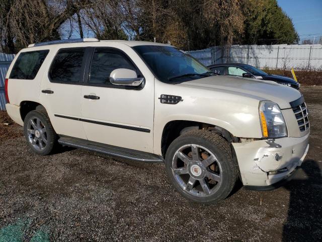 2007 CADILLAC ESCALADE LUXURY