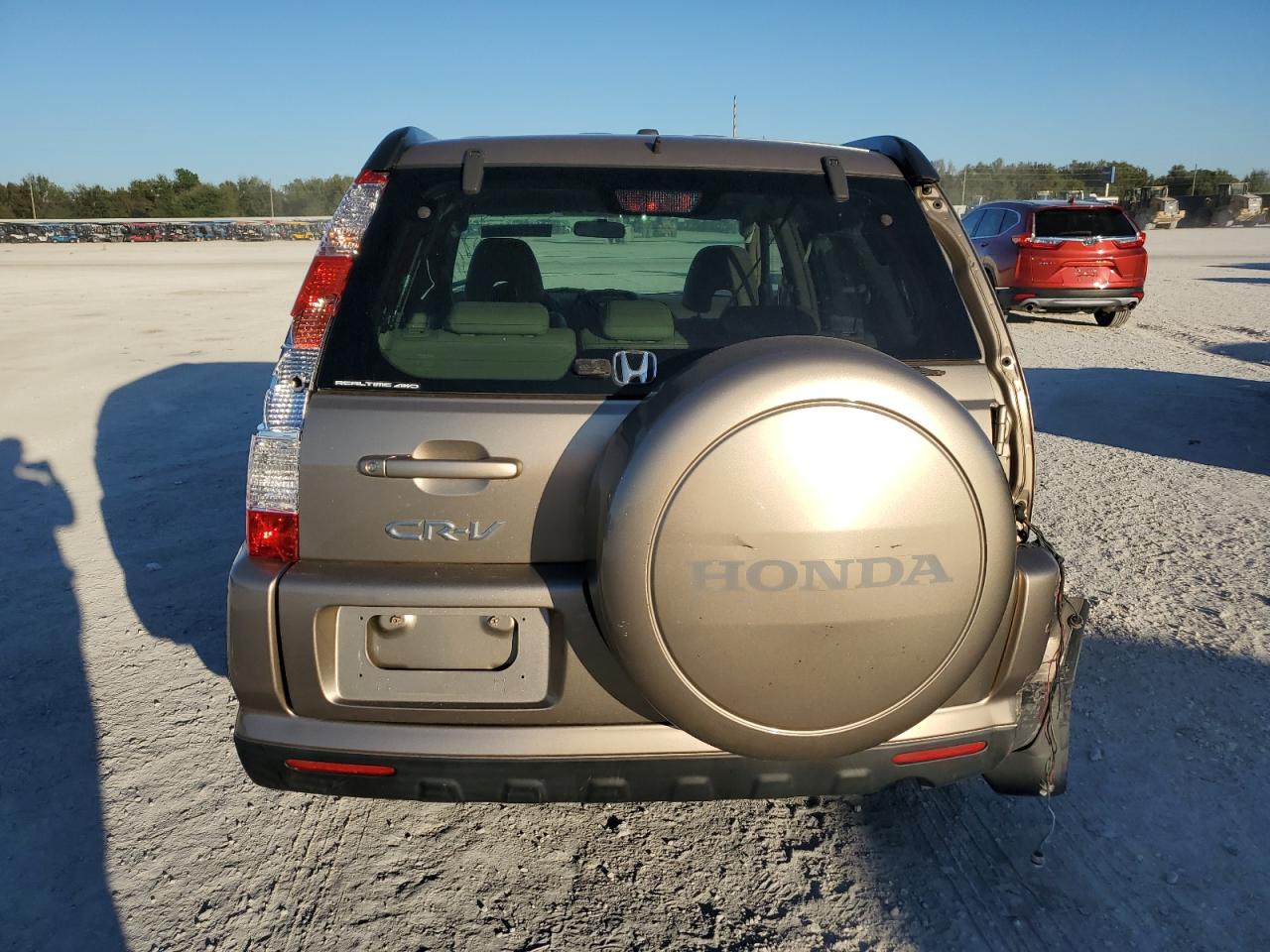 2005 Honda Cr-V Se VIN: JHLRD78905C061459 Lot: 82473074