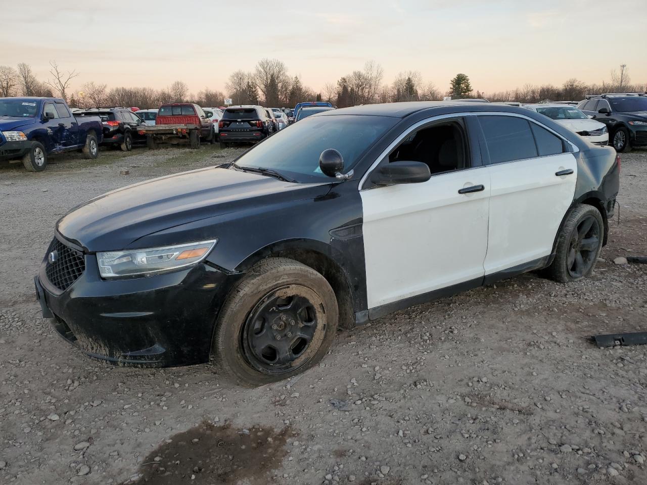 VIN 1FAHP2MK9DG188994 2013 FORD TAURUS no.1