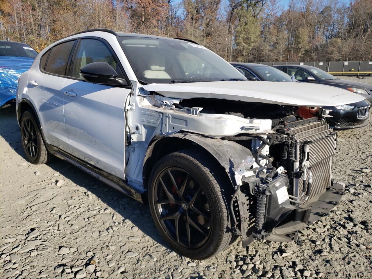 2020 Alfa Romeo Stelvio - Image 4