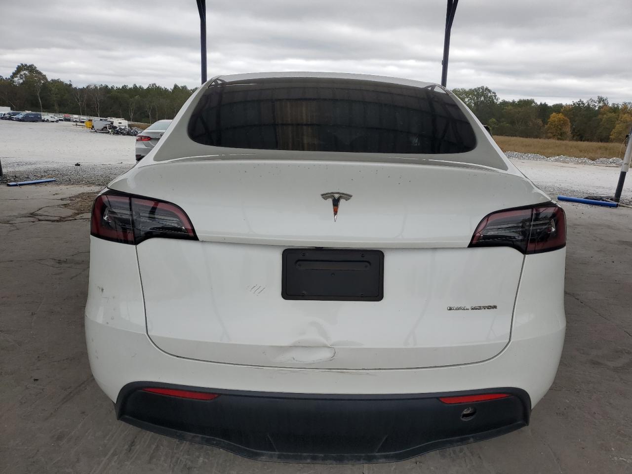 2023 Tesla Model Y VIN: 7SAYGDEE8PF771184 Lot: 79209944