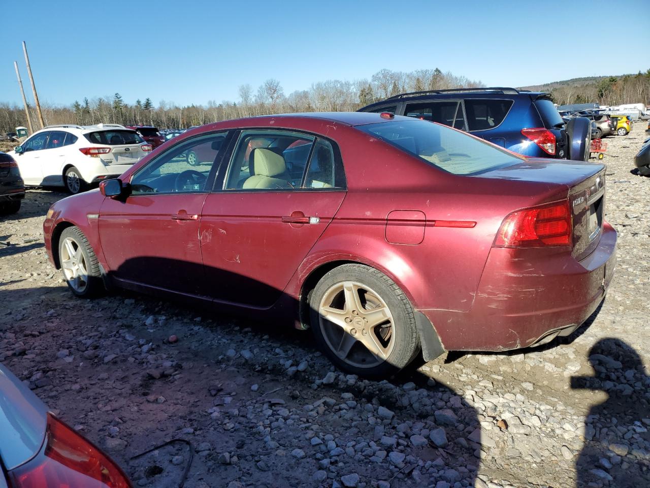 2004 Acura Tl VIN: 19UUA65574A020219 Lot: 80443994