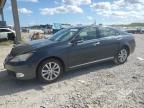 2011 Lexus Es 350 للبيع في West Palm Beach، FL - Front End