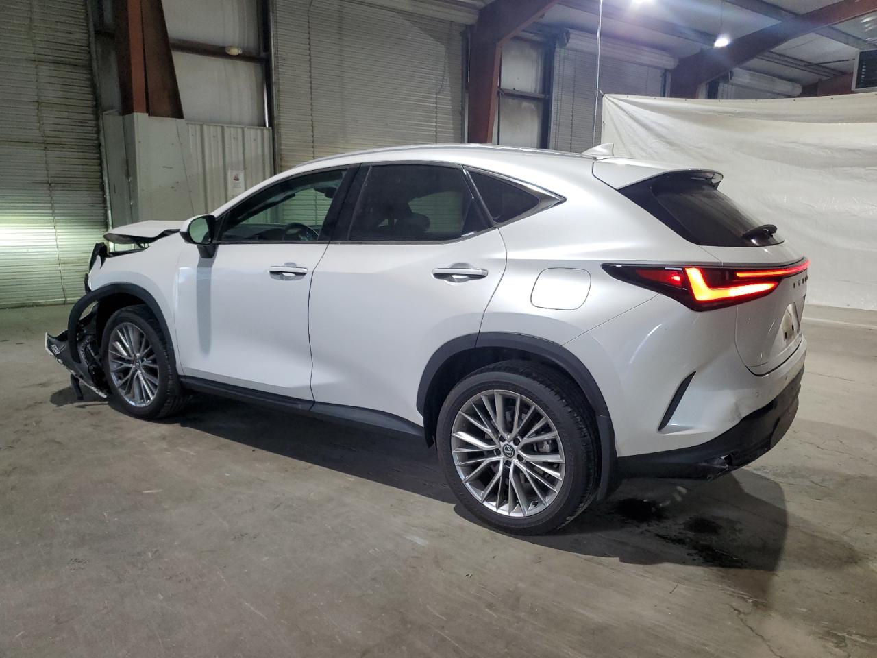 2024 Lexus NX - Image 2