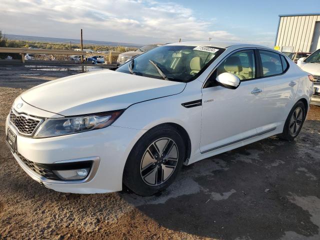  KIA OPTIMA 2013 Білий