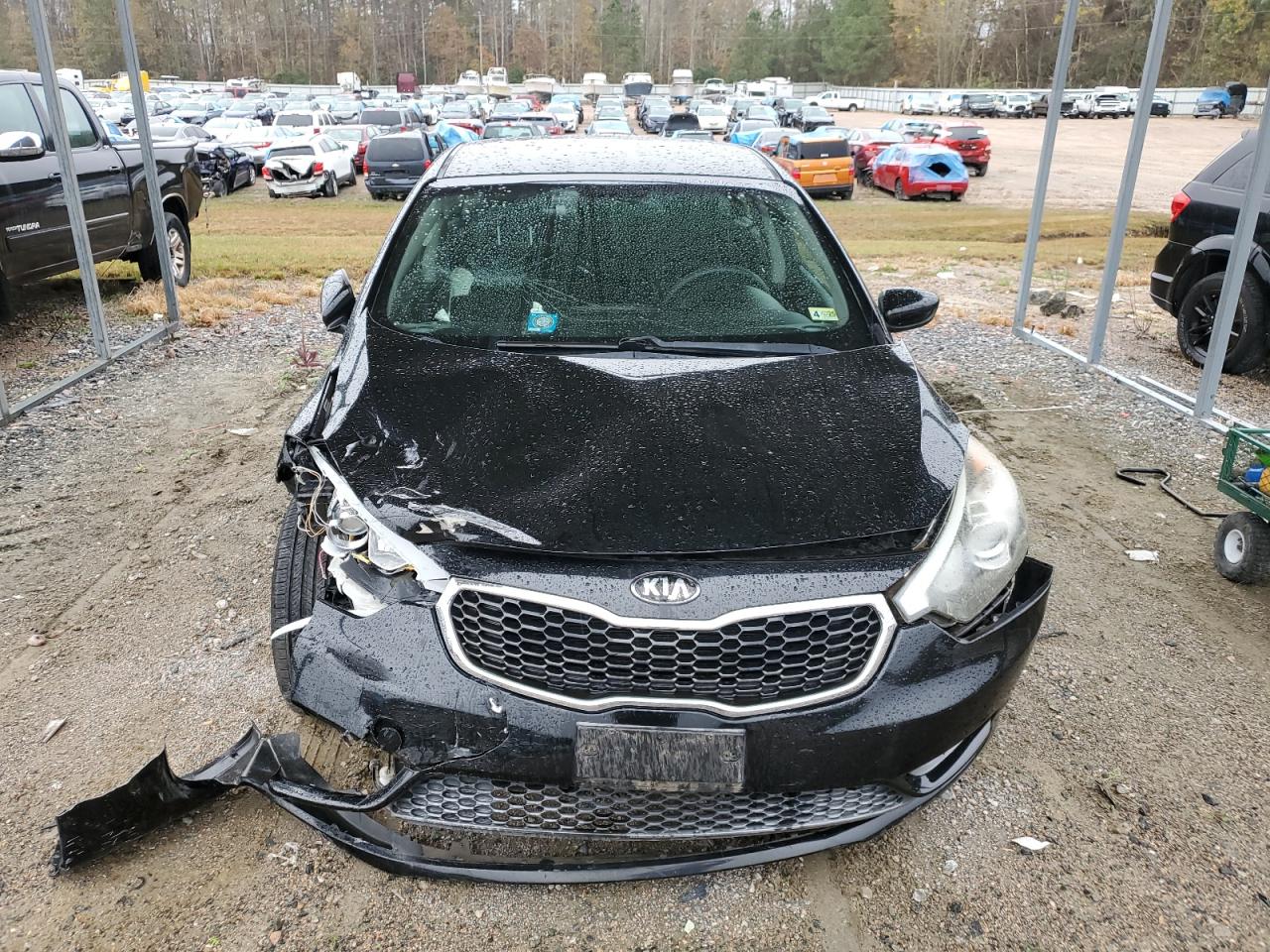 2014 Kia Forte Lx VIN: KNAFK4A61E5208099 Lot: 80777024