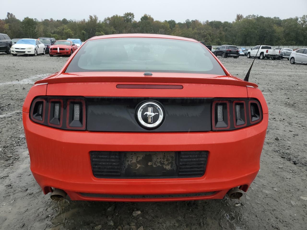 2013 Ford Mustang VIN: 1ZVBP8AM5D5231020 Lot: 81326454