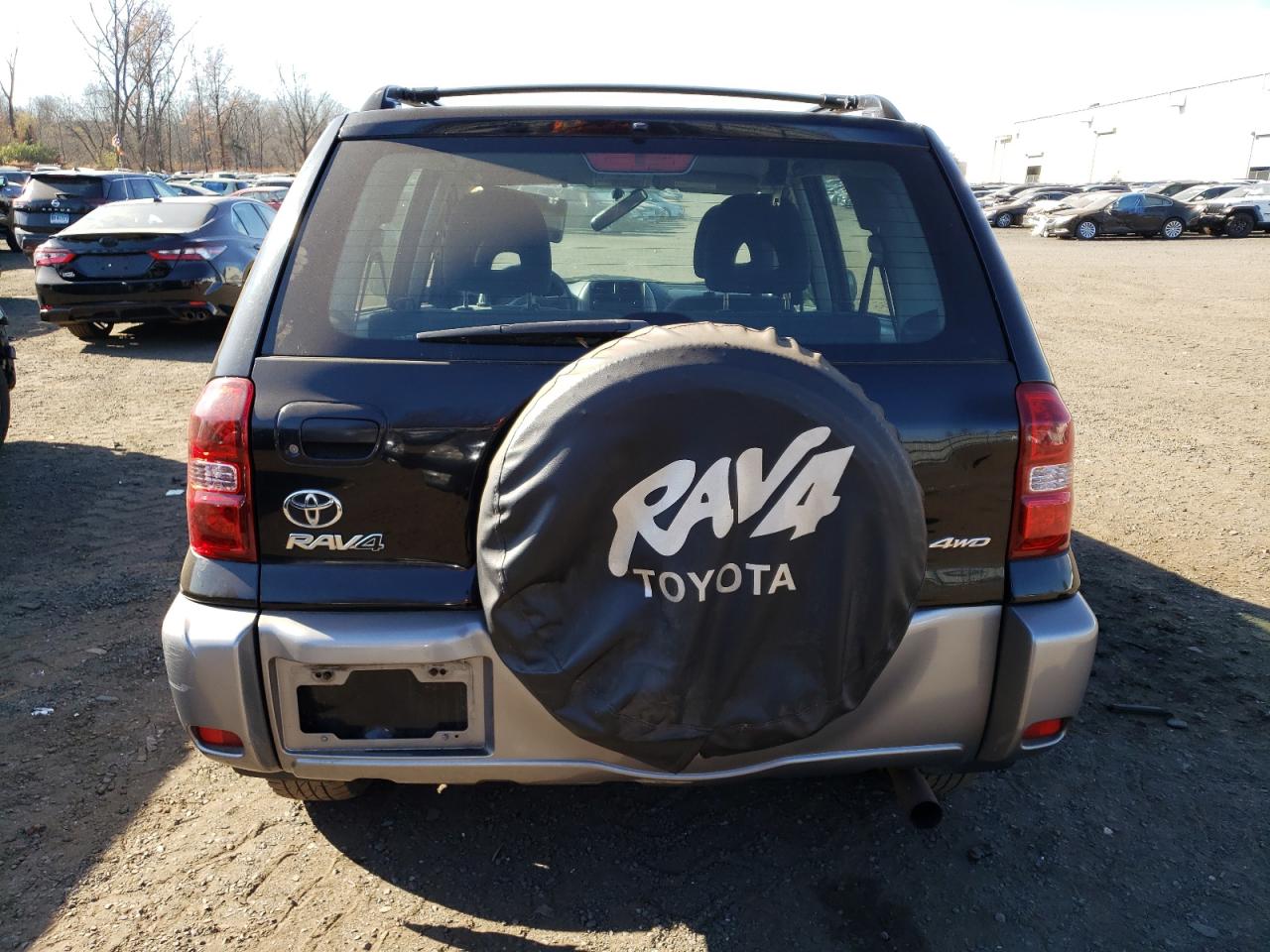 2004 Toyota Rav4 VIN: JTEHD20V446004713 Lot: 79124244