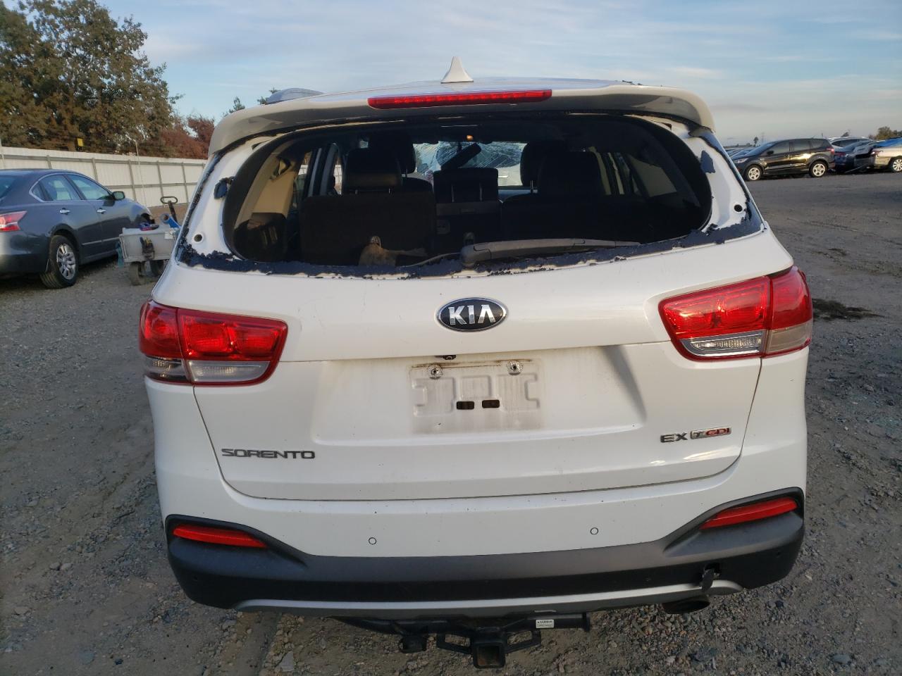 2017 Kia Sorento Ex VIN: 5XYPH4A19HG183054 Lot: 81376124