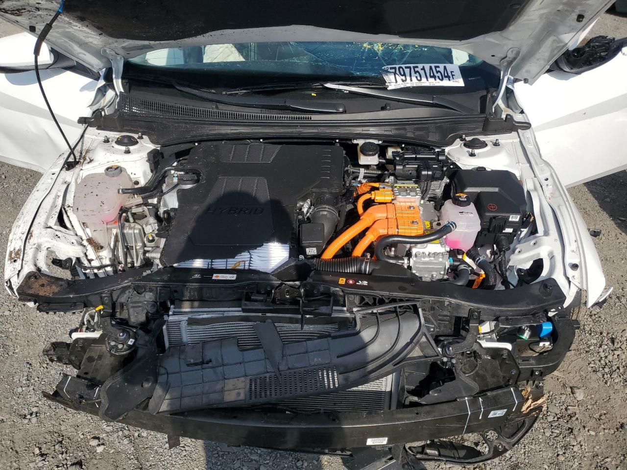 2024 Hyundai Elantra - Image 12